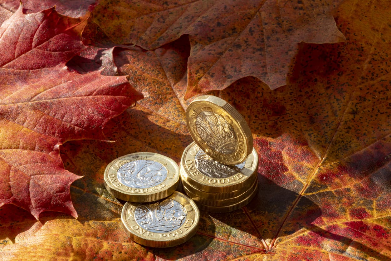 Economic overview November 2025