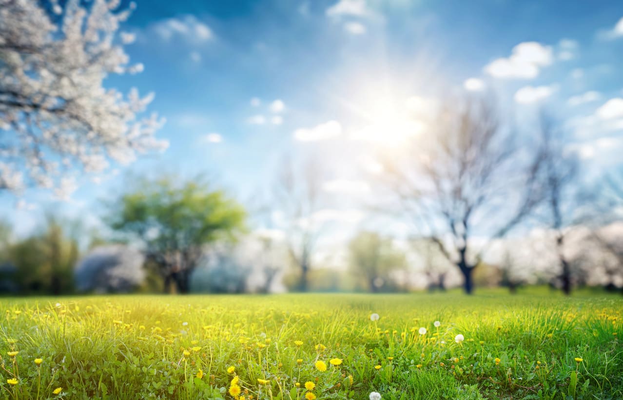 spring statement