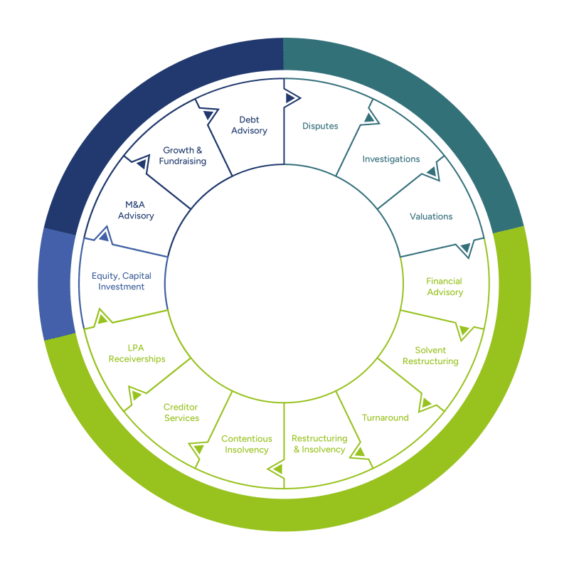 Opus Advisory Group Services